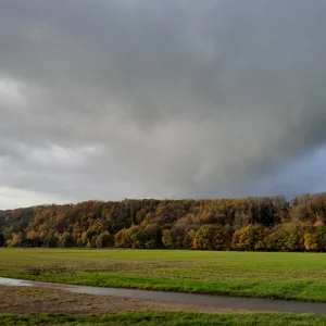 20221115_092243.jpg