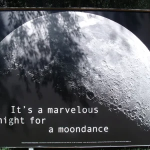moon.jpg