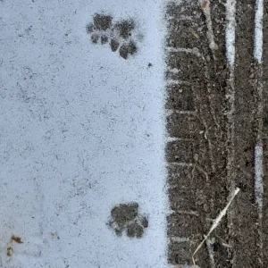 20230121_112110.jpg