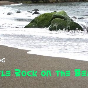 TommyG Little-Rock on the Beach
