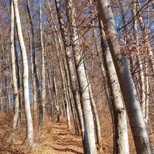 20230213_095204.jpg