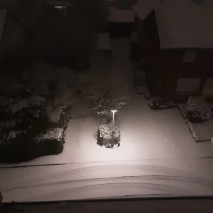 Schnee.jpg