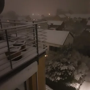 Winter.jpg