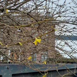 20230312_103357.jpg