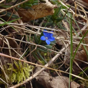 P1060145.jpg