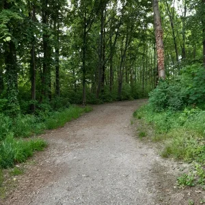 20230523_153823.jpg