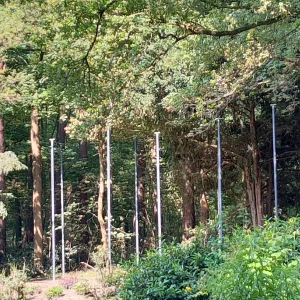 20230618_095842.jpg