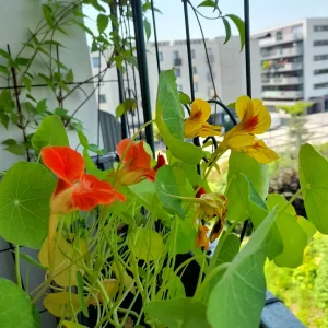 20230620_113203.jpg
