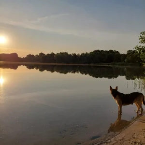 20230709_061404.jpg