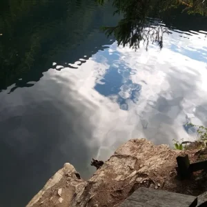 20230702_191357.jpg