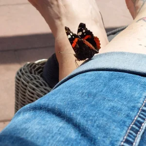 20230712_143036.jpg
