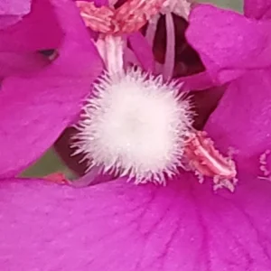20230722_200208.jpg