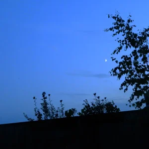Screenshot 2023-07-23 214634.png