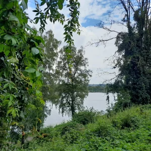 20230804_125607.jpg