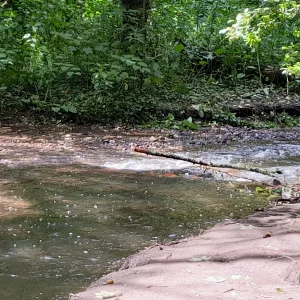 20230804_132048.jpg