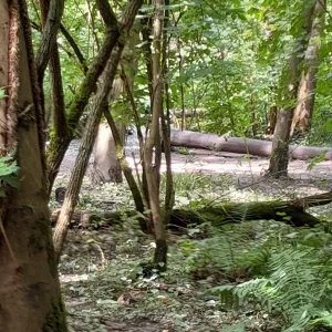 20230804_132058.jpg