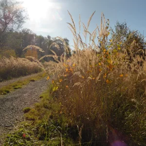 P1010845.JPG
