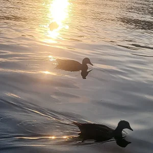 20230816_193530.jpg