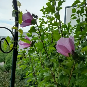 20230823_081526.jpg
