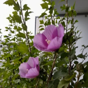 20230823_081606.jpg