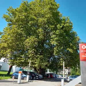 20230906_121513.jpg
