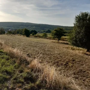 20230909_173334.jpg