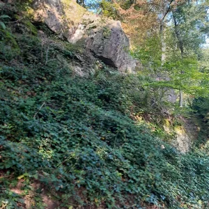 20230910_091725.jpg