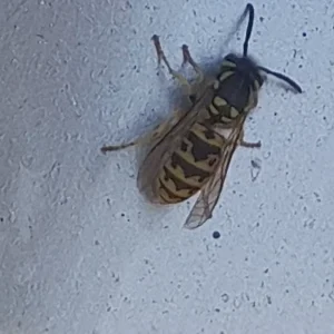 20230910_094530.jpg