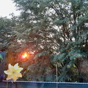 20230831_065641.jpg