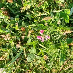 20230910_092818.jpg