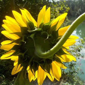 DSCN5988.JPG