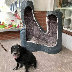 FullSizeRender.jpeg