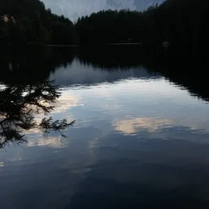 20230915_182856.jpg