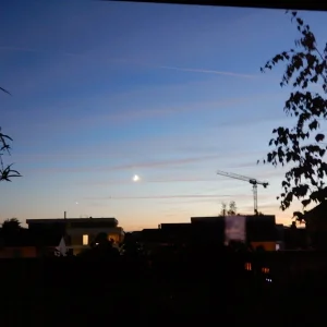 DSCN3453.JPG