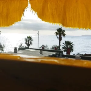 Screenshot_2023-09-21-23-05-23-987_gallery.photomanager.picturegalleryapp.imagegallery.jpg