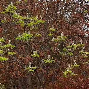 IMG_20230924_130953_HDR~2.jpg