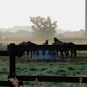 20230930_083946.jpg