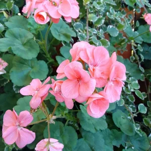 IMG_20231016_105223_HDR.jpg