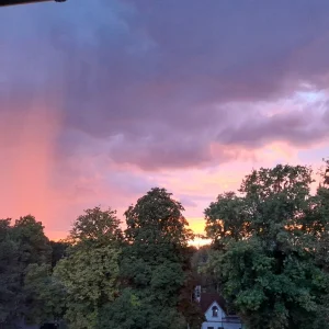 20230918_193712.jpg
