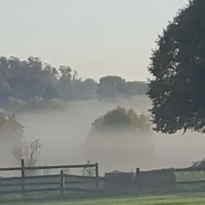 20231023_090206.jpg