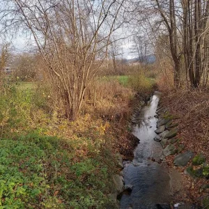 IMG_20231128_150044_HDR.jpg