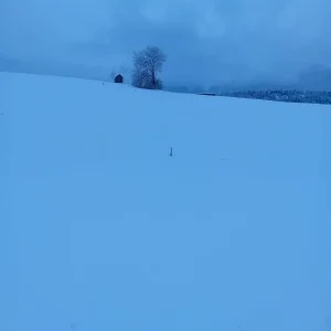 20231202_162214.jpg