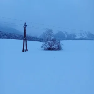 20231202_163110.jpg