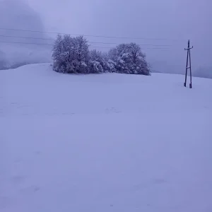 20231202_163929.jpg