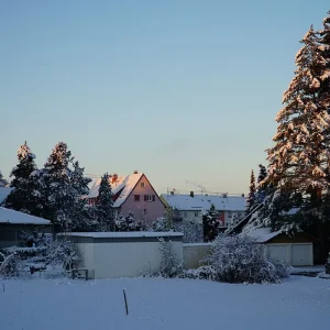 Winter_03Dez2023_DSC01565-low.jpg