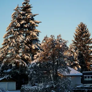 Winter_03Dez2023_DSC01566_low.jpg