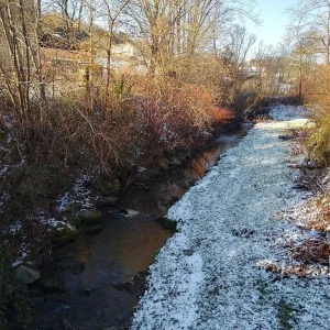 IMG_20231203_091447_HDR.jpg