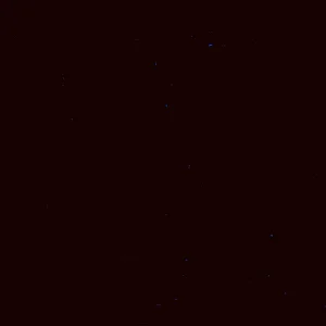 IMG_7830.jpeg