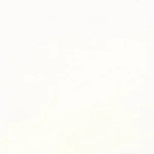 IMG_7843.jpeg