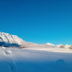 20231203_154032.jpg